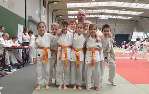 Petits-Tigres Serres-Castet