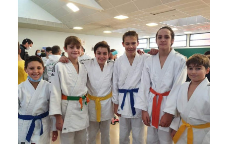 Poules de 9 de Mourenx