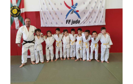 Petits Tigres Poussins/mini Poussins à Anglet