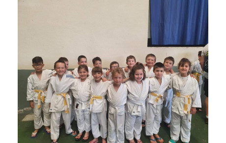  Petits tigres Soumoulou
