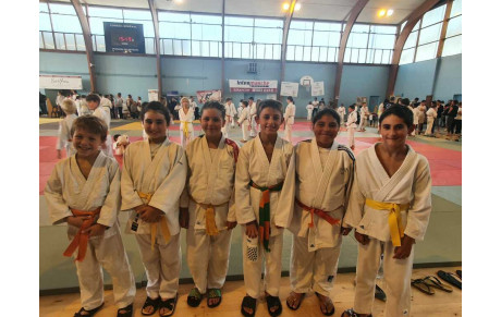 Poules de 9 à Jurançon
