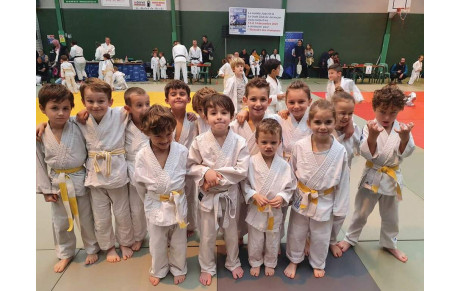 Petits tigres à Serres Castet
