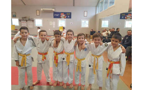 Petits tigres Monein 