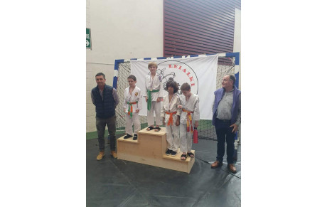 Animation poule de 9 Hasparren