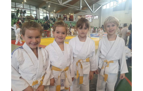 Petits tigres Hasparren 